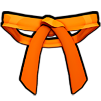 کمربند نارنجی | Orange Belt