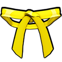 کمربند زرد | Yellow Belt