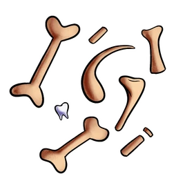 سرویس500 تایی استخوان | 500 bone service